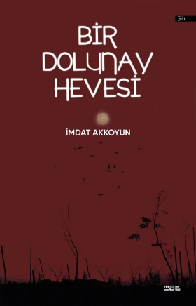 Bir Dolunay Hevesi